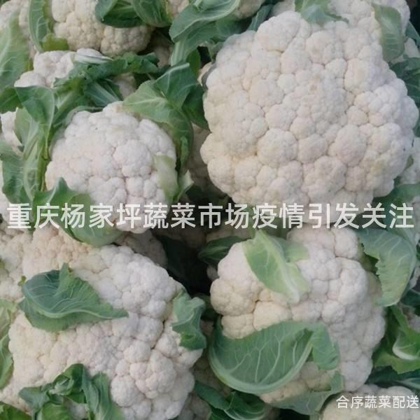 重庆杨家坪蔬菜市场疫情引发关注
