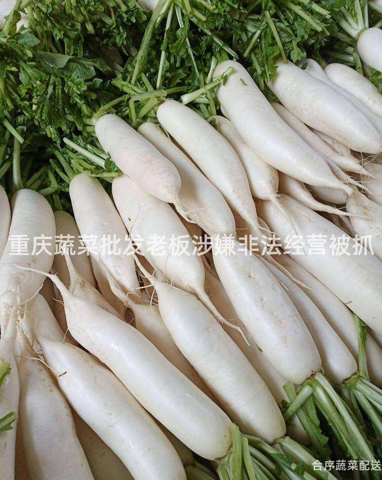 重庆蔬菜批发老板涉嫌非法经营被抓
