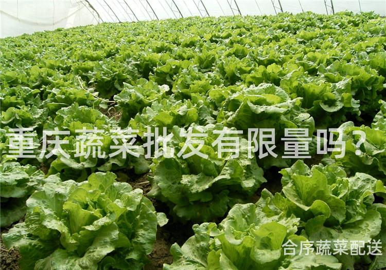 重庆蔬菜批发有限量吗？