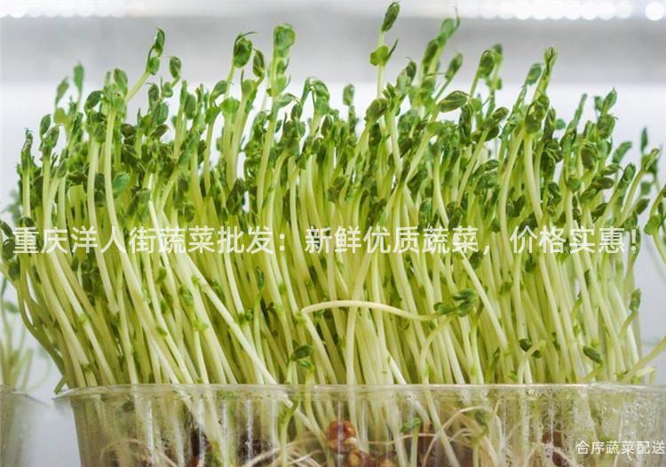 重庆洋人街蔬菜批发：新鲜优质蔬菜，价格实惠！