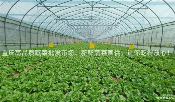 重庆高品质蔬菜批发市场：新鲜蔬菜直供，让你吃得放心！