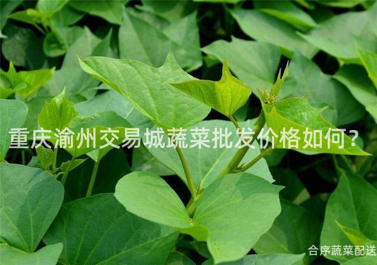 重庆渝州交易城蔬菜批发价格如何？
