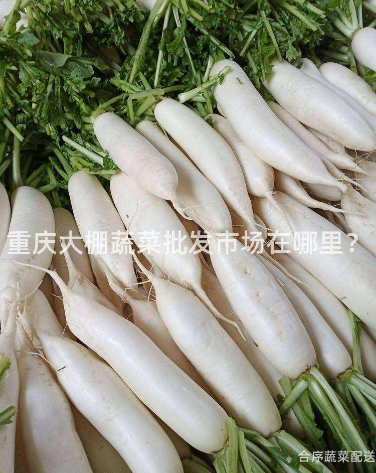 重庆大棚蔬菜批发市场在哪里？