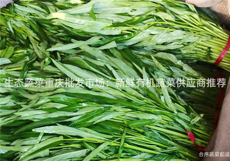 生态蔬菜重庆批发市场：新鲜有机蔬菜供应商推荐