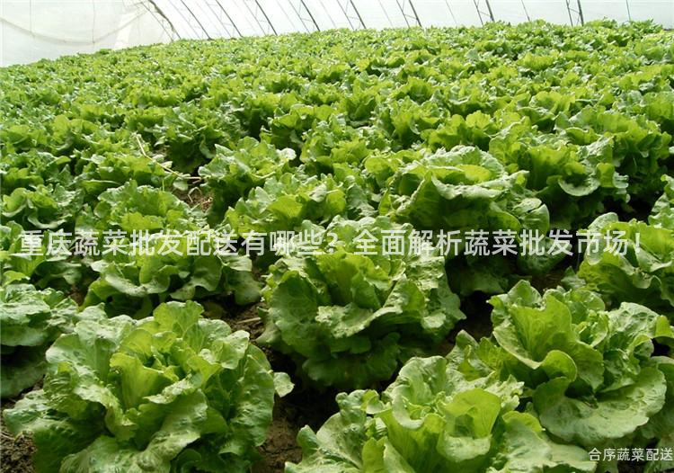 重庆蔬菜批发配送有哪些？全面解析蔬菜批发市场！