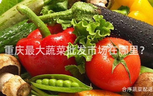 重庆最大蔬菜批发市场在哪里？