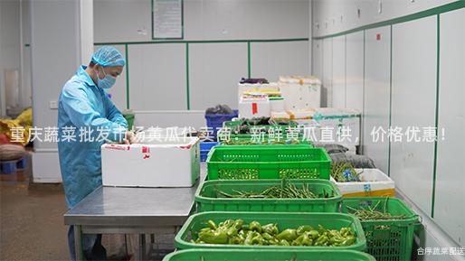 重庆蔬菜批发市场黄瓜代卖商：新鲜黄瓜直供，价格优惠！