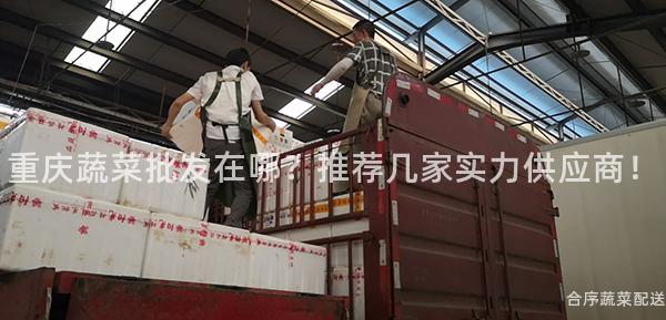 重庆蔬菜批发在哪？推荐几家实力供应商！