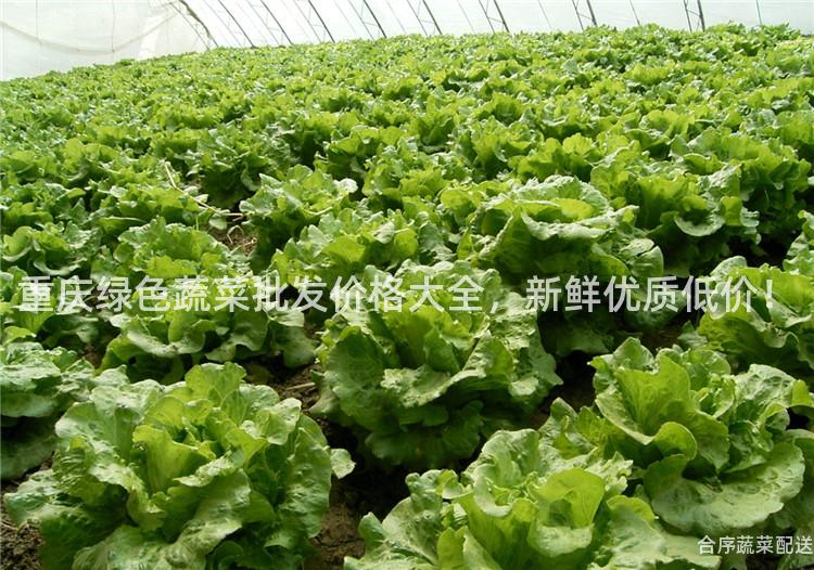 重庆绿色蔬菜批发价格大全，新鲜优质低价！