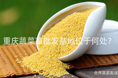 重庆蔬菜苗批发基地位于何处？