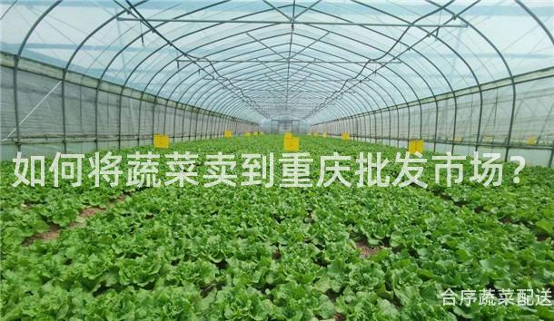 如何将蔬菜卖到重庆批发市场？
