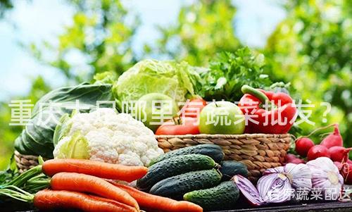 重庆大足哪里有蔬菜批发？