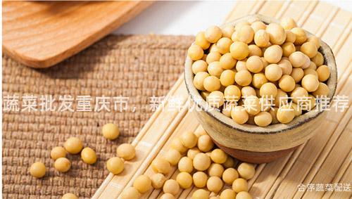 蔬菜批发重庆市，新鲜优质蔬菜供应商推荐