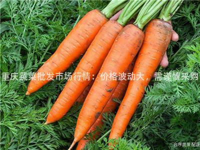 重庆蔬菜批发市场行情：价格波动大，需谨慎采购