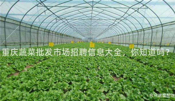 重庆蔬菜批发市场招聘信息大全，你知道吗？
