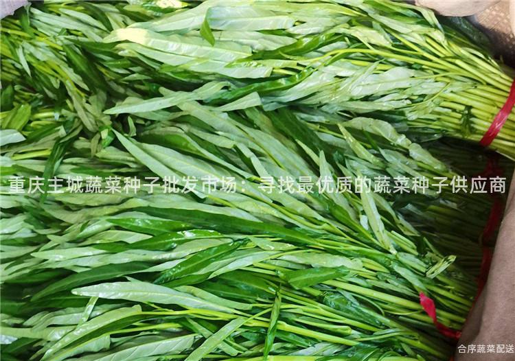 重庆主城蔬菜种子批发市场：寻找最优质的蔬菜种子供应商