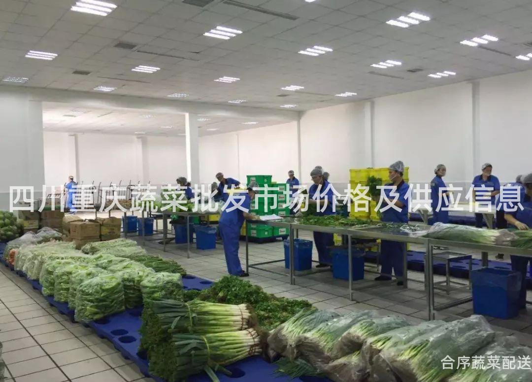 四川重庆蔬菜批发市场价格及供应信息